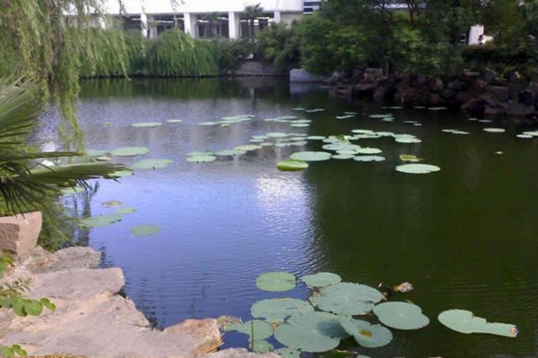 华东师范大学旅游攻略