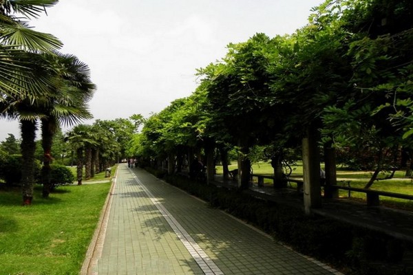 南京农业大学旅游攻略