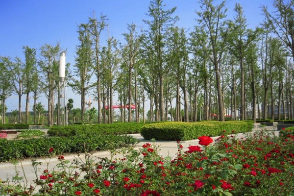 华东师范大学旅游攻略