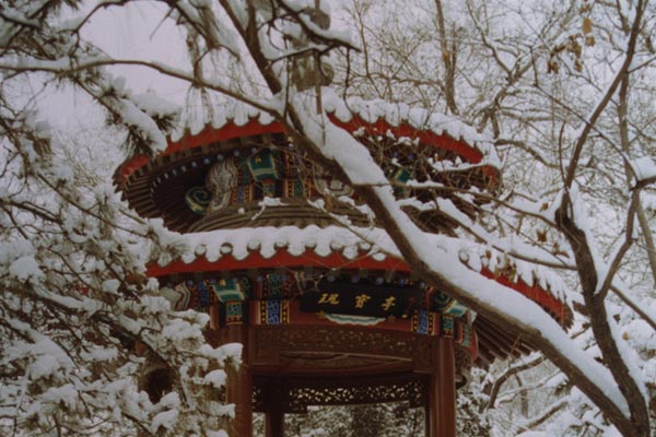 北京宋庆龄故居旅游攻略