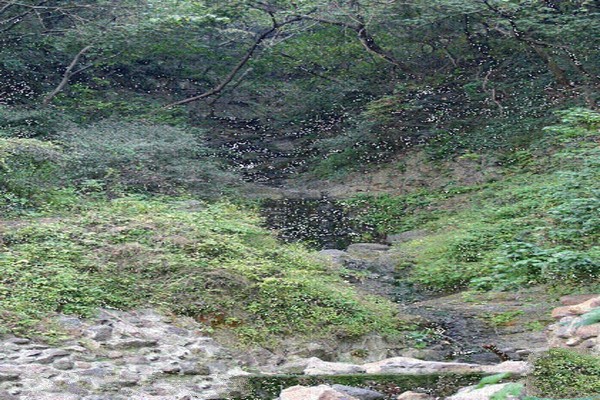 南京方山国家地质公园旅游攻略