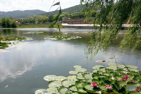 双鸭山林业局青山国家森林公园旅游攻略
