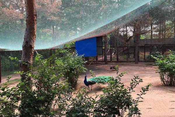 双辽一马树森林公园旅游攻略