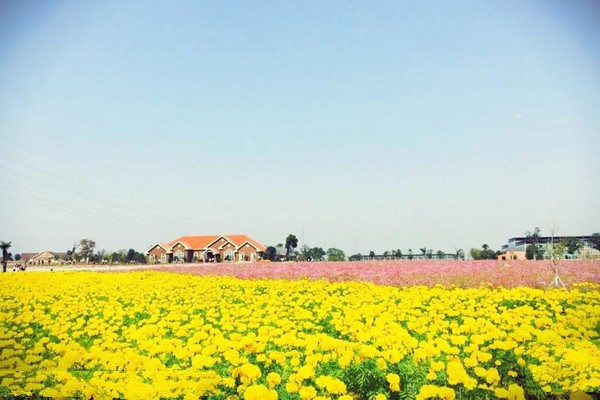 句容岩藤农场旅游攻略