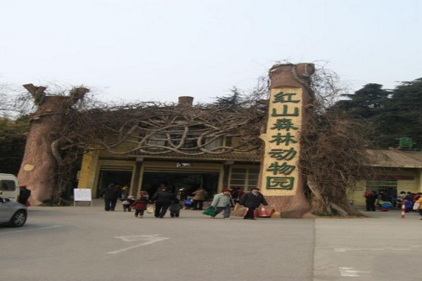 南京红山森林动物园旅游攻略