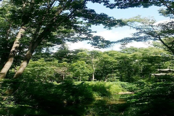 双鸭山林业局青山国家森林公园旅游攻略