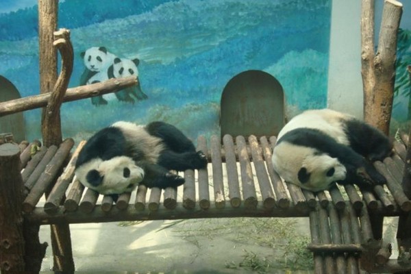 南京红山森林动物园旅游攻略