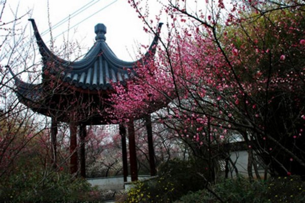 南京雨花台风景名胜区旅游攻略