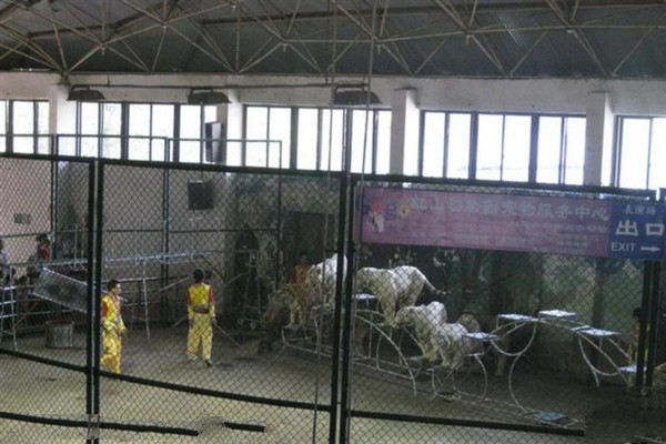 南京红山森林动物园旅游攻略