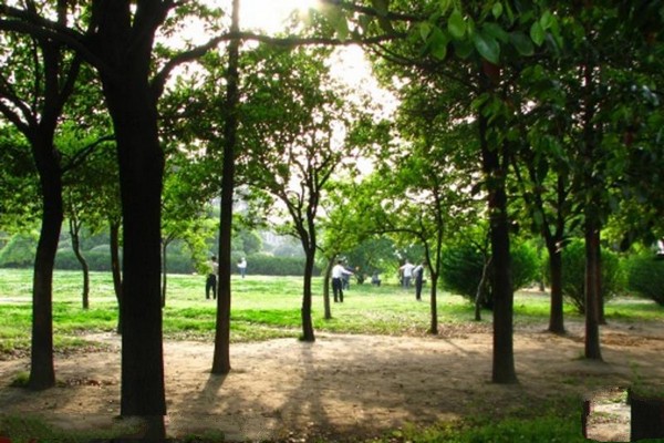 南京长江大桥旅游攻略