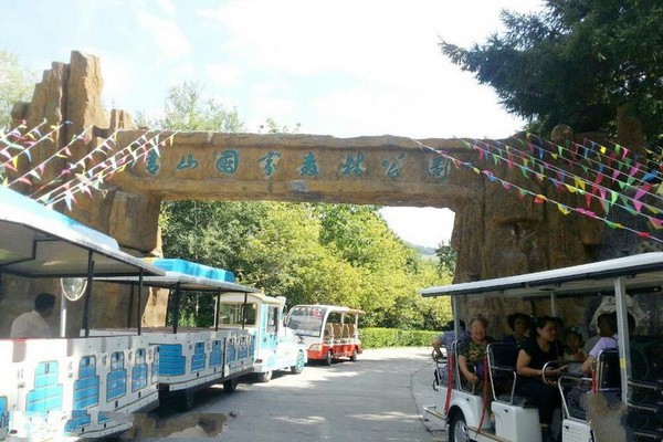 双鸭山林业局青山国家森林公园旅游攻略