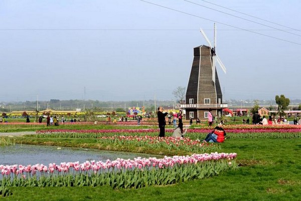 句容岩藤农场旅游攻略