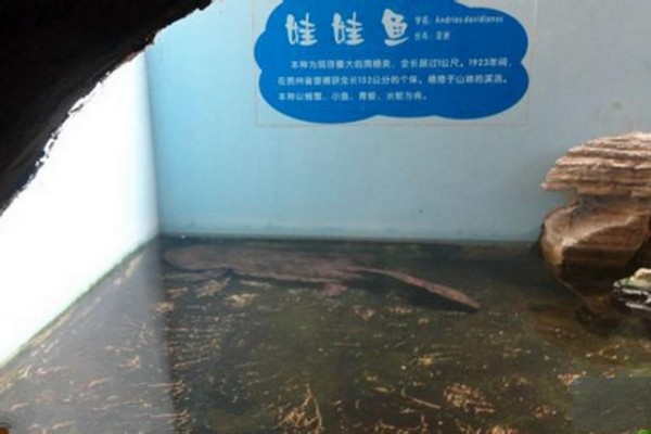 南京红山森林动物园旅游攻略