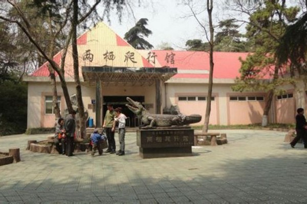 南京红山森林动物园旅游攻略