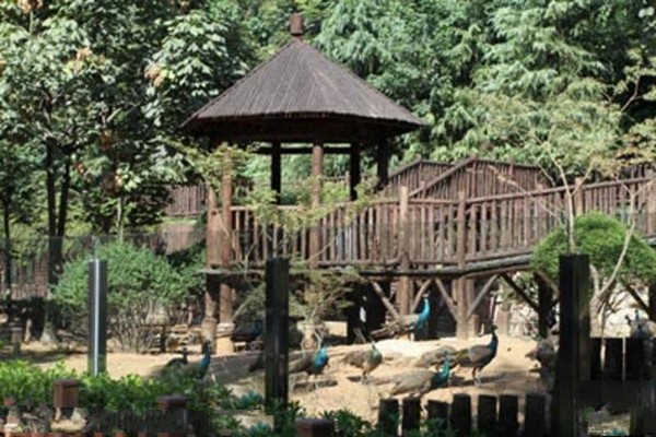 南京红山森林动物园旅游攻略