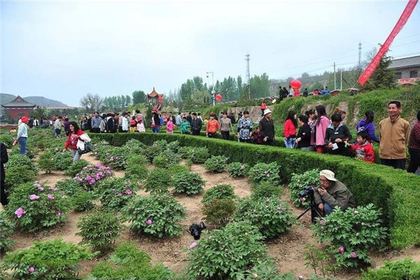 古县三合牡丹旅游攻略