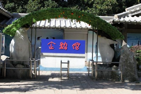 南京红山森林动物园旅游攻略