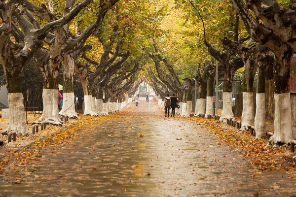 南京艺术学院旅游攻略