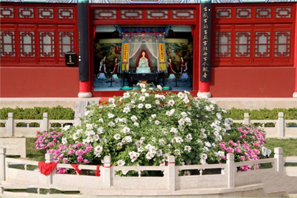 古县三合牡丹旅游攻略