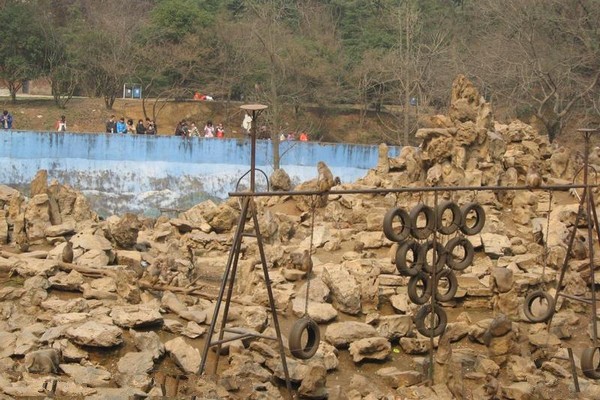 南京红山森林动物园旅游攻略