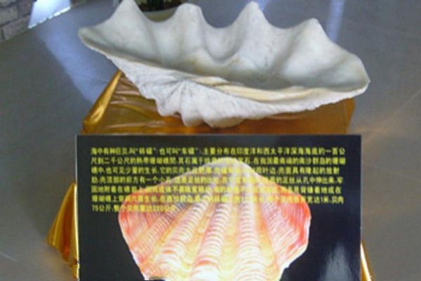 南京金牛湖景区旅游攻略