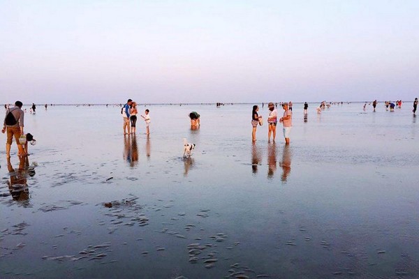 启东黄金海滩景区旅游攻略