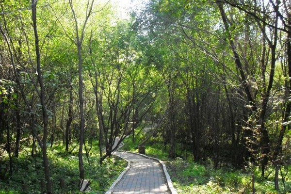 吉林朱雀山国家森林公园旅游攻略