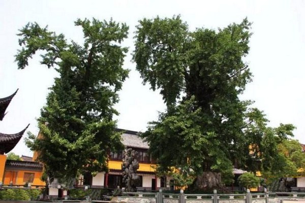 吴江圆通寺旅游攻略