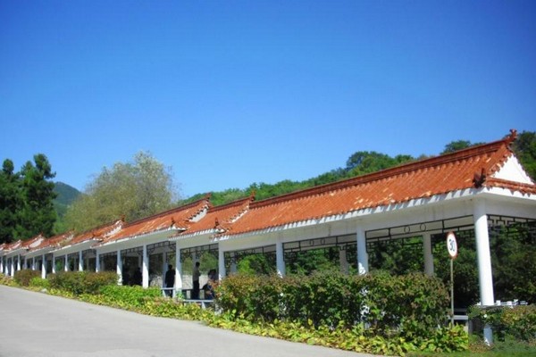 吉林朱雀山国家森林公园旅游攻略