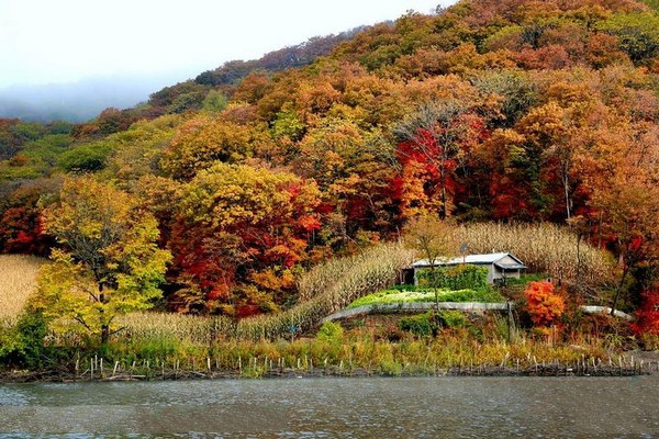 吉林松花江三湖国家级自然保护区旅游攻略