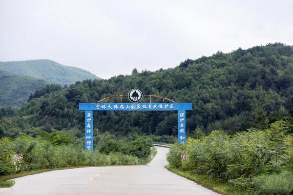 吉林天佛指山国家级自然保护区旅游攻略