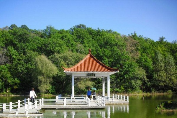 吉林朱雀山国家森林公园旅游攻略