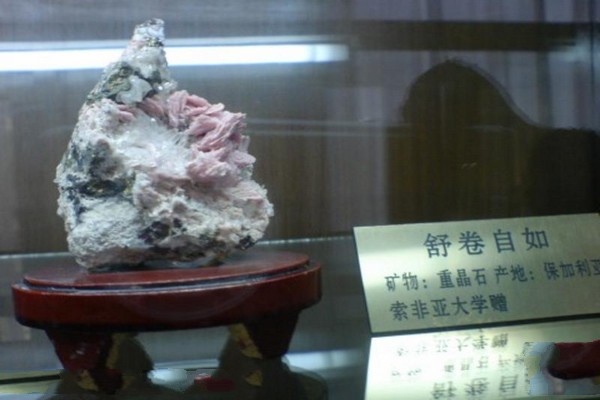吉林大学博物馆旅游攻略