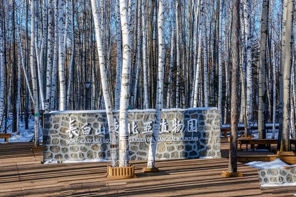 吉林长白山东北亚植物园旅游攻略
