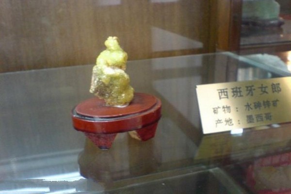 吉林大学博物馆旅游攻略