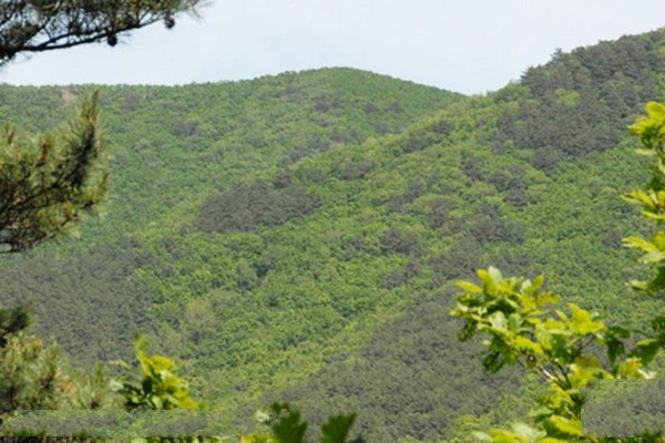 吉林天佛指山国家级自然保护区旅游攻略