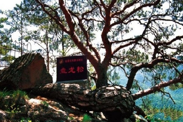 吉林仙景台风景名胜区旅游攻略