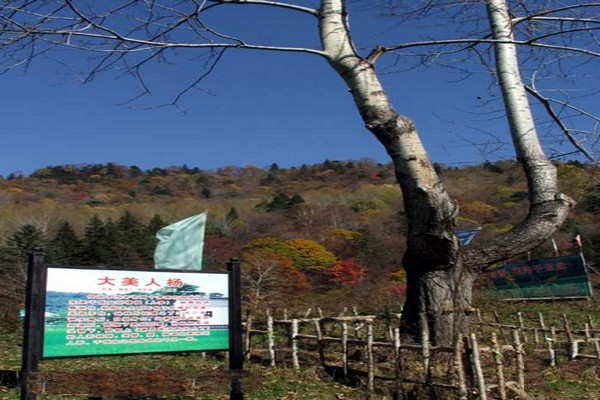 吉林干饭盆景区旅游攻略