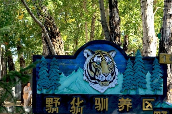 哈尔滨东北虎林园旅游攻略