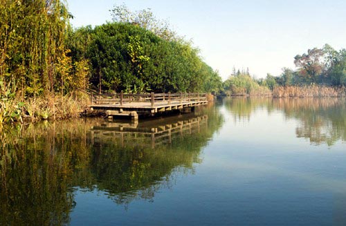 吴淞炮台湾湿地森林公园旅游攻略
