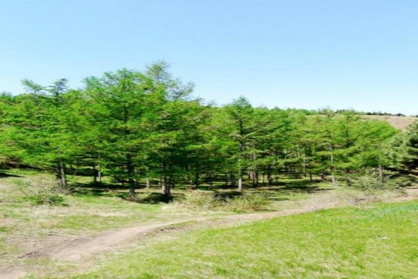 吉林珠尔山旅游攻略