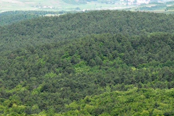 吉林天佛指山国家级自然保护区旅游攻略