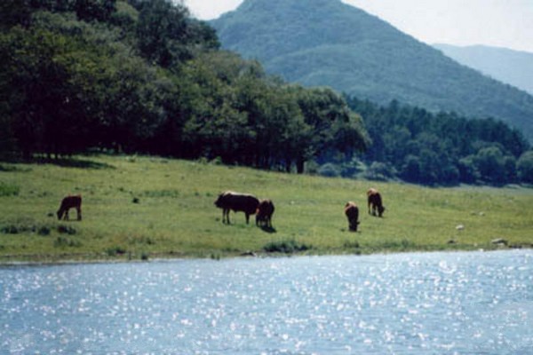 吉林松花湖风景名胜区旅游攻略