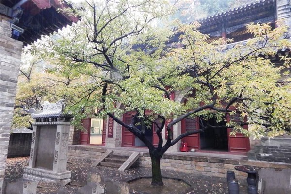 吕梁安国寺旅游攻略