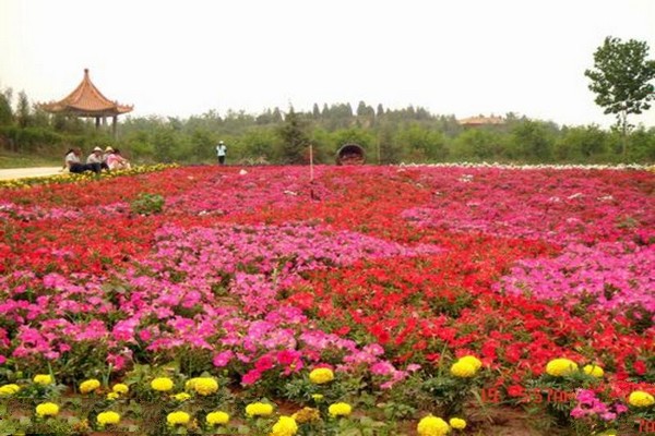 唐山燕东生态观光园旅游攻略