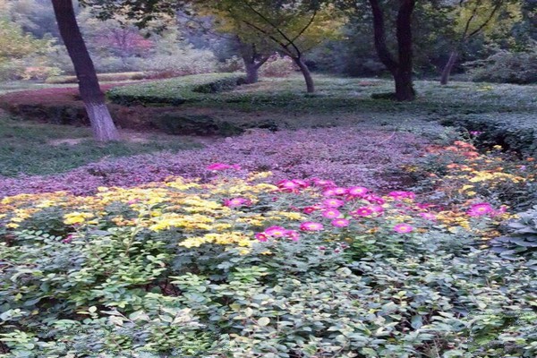 唐山大城山公园旅游攻略
