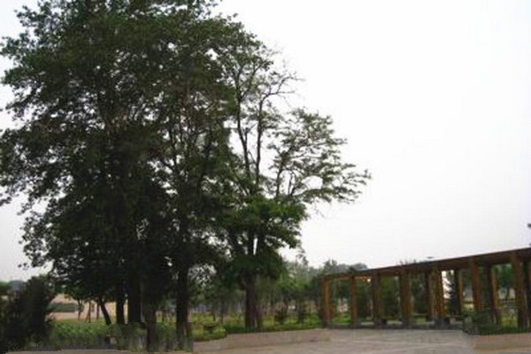 唐山地震遗址纪念公园旅游攻略