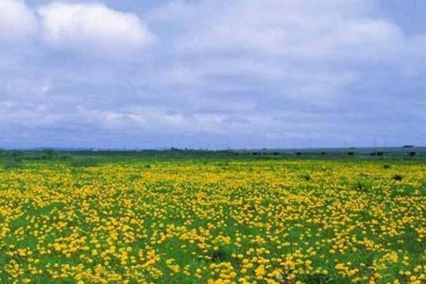 大庆吉禾民族赛马场旅游攻略