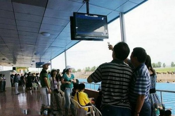 大庆吉禾民族赛马场旅游攻略