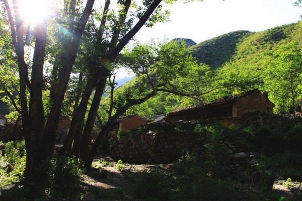 大同灵丘桃花山旅游攻略